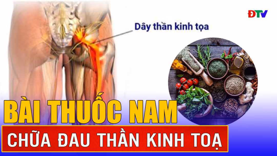 Điện Biên khẩn cấp nhận 200 tỷ đồng khắc phục thiên tai Bài thuốc nam chữa đau thần kinh tọa