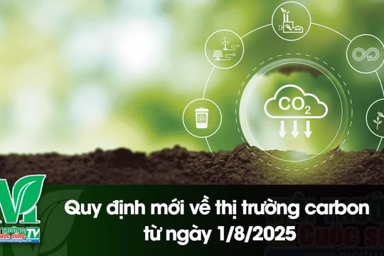 [VIDEO] Quy định mới về thị trường carbon từ ngày 1/8/2025