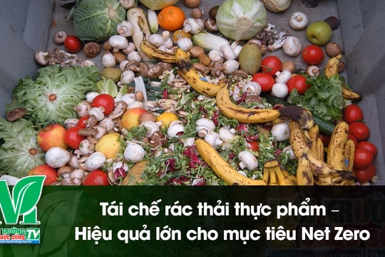 [VIDEO] Tái chế rác thải thực phẩm – Hiệu quả lớn cho mục tiêu Net Zero