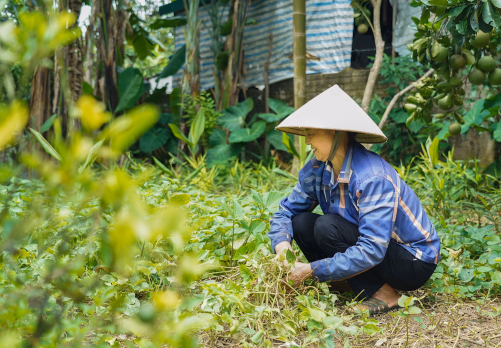 Thôn quê đẹp như tranh với đường sạch, hoa xanh tươi ven sông Bà Ngô Thị Len cải tạo khu vườn trước nhà, góp phần xây dựng cảnh quan xanh - sạch - đẹp.