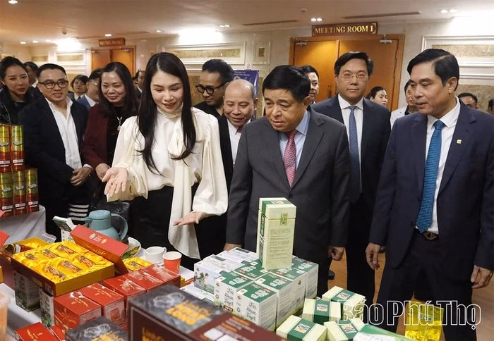 Doanh nghiệp OCOP trình bày sản phẩm tại hội nghị Các doanh nghiệp OCOP tại hội nghị Phú Thọ