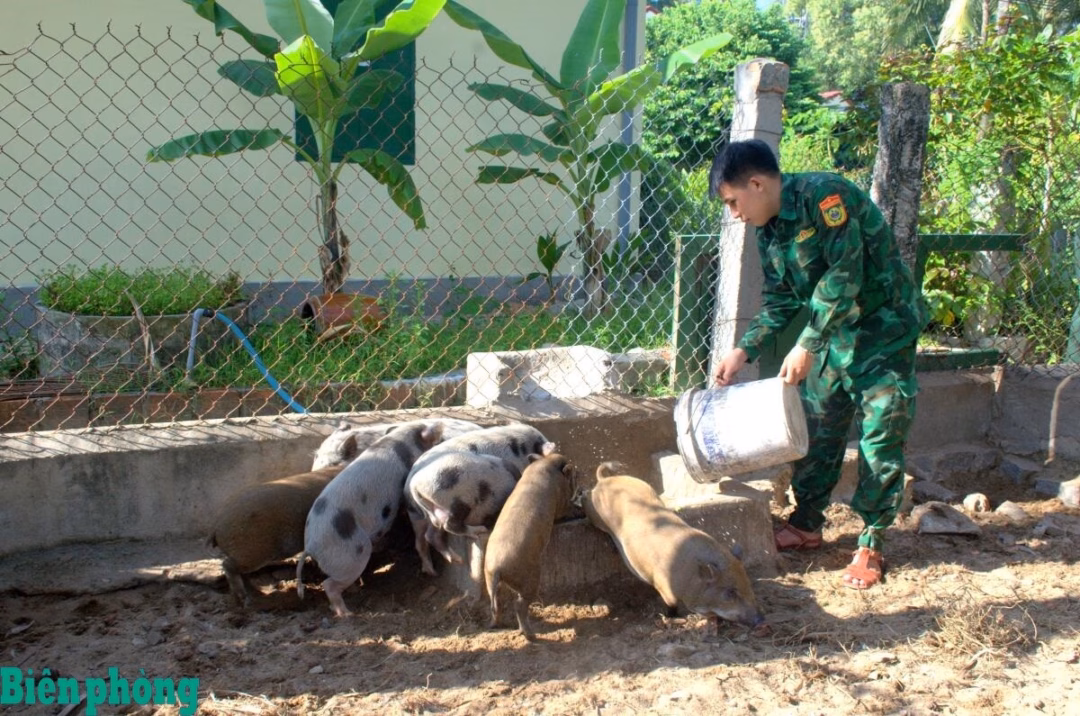 Bộ đội Biên phòng tăng gia sản xuất, đảm bảo hậu cần trong khó khăn Cán bộ, chiến sĩ Đồn Biên phòng Pù Nhi, BĐBP tỉnh Thanh Hóa thu hoạch rau, củ, quả sạch. Ảnh: Hoàng Lan