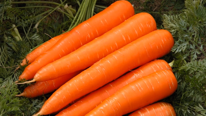 Cà rốt giúp tái tạo da Cà rốt giàu beta-carotene