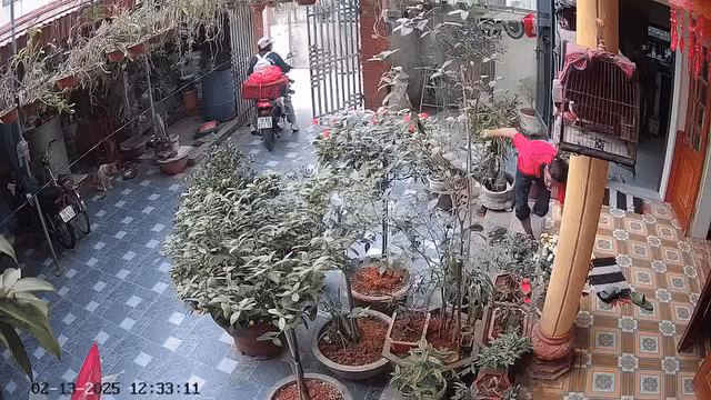 Bố chạy ra cổng khi con gái rời đi Bố chạy ra cổng khi con gái rời đi