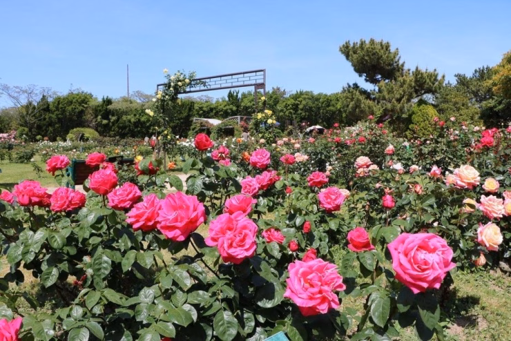 Công viên Uminonakamichi Seaside, Fukuoka