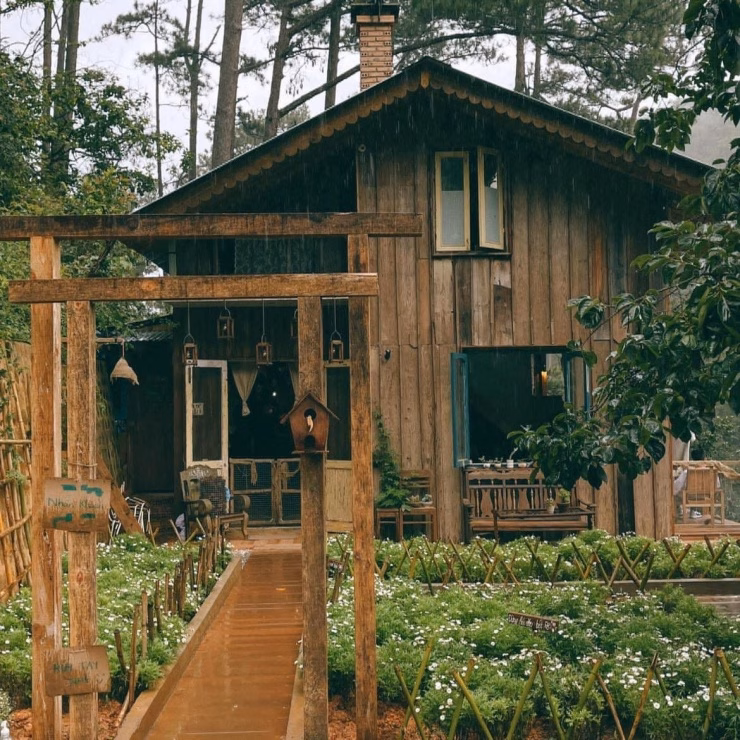 Quán cà phê view sương mù