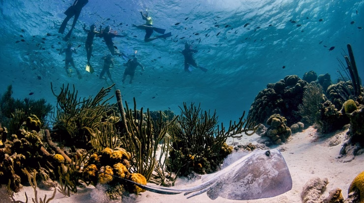 Lặn biển là một trong những lý do thu hút du khách đến Bonaire Lặn biển là một trong những lý do thu hút du khách đến Bonaire.