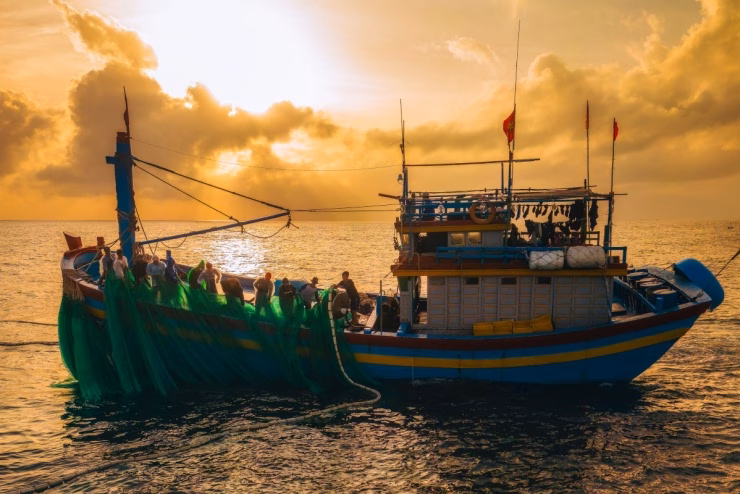 Lặn ngắm san hô Lặn ngắm san hô