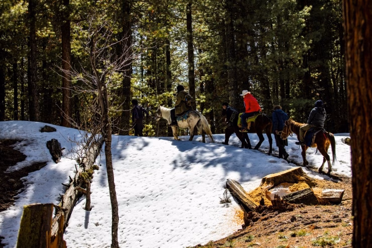 Du khách đến Fairy Meadows bằng cách đi bộ hoặc thuê ngựa Du khách đến Fairy Meadows bằng cách đi bộ hoặc thuê ngựa