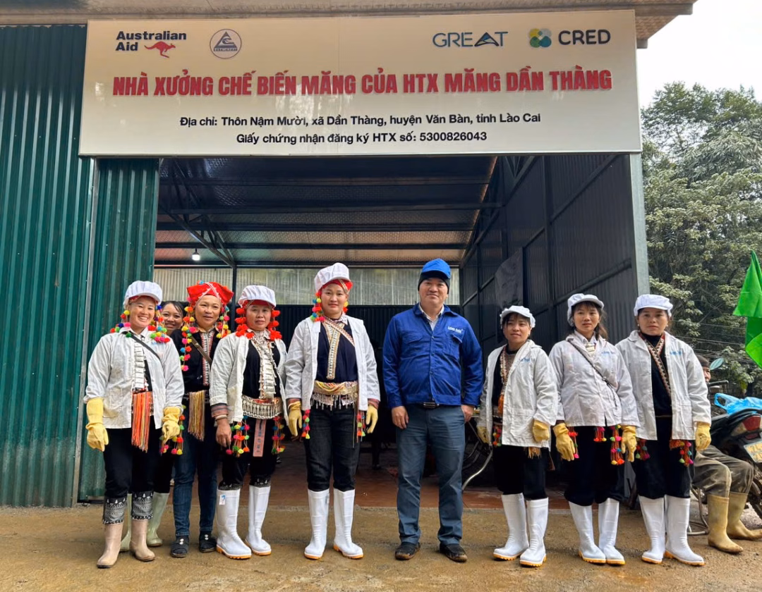 Nâng cao thu nhập nhờ phát triển ngành măng cho phụ nữ dân tộc thiểu số ở Lào Cai Hợp tác xã Dần Thàng tạo việc làm ổn định cho khoảng 15–20 người dân và thu nhập cho hàng trăm hộ liên kết