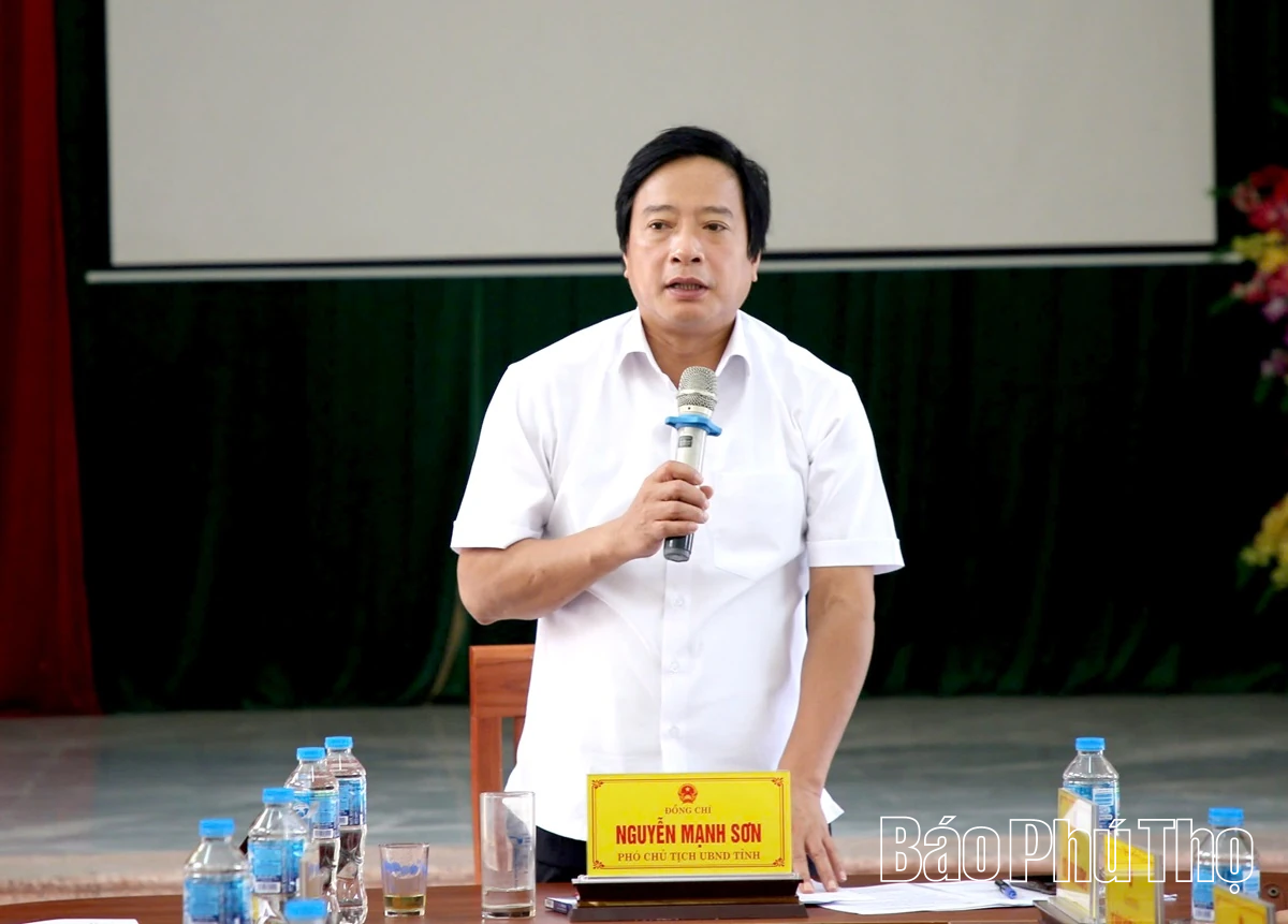 Phó Chủ tịch UBND tỉnh Nguyễn Mạnh Sơn phát biểu kết luận.