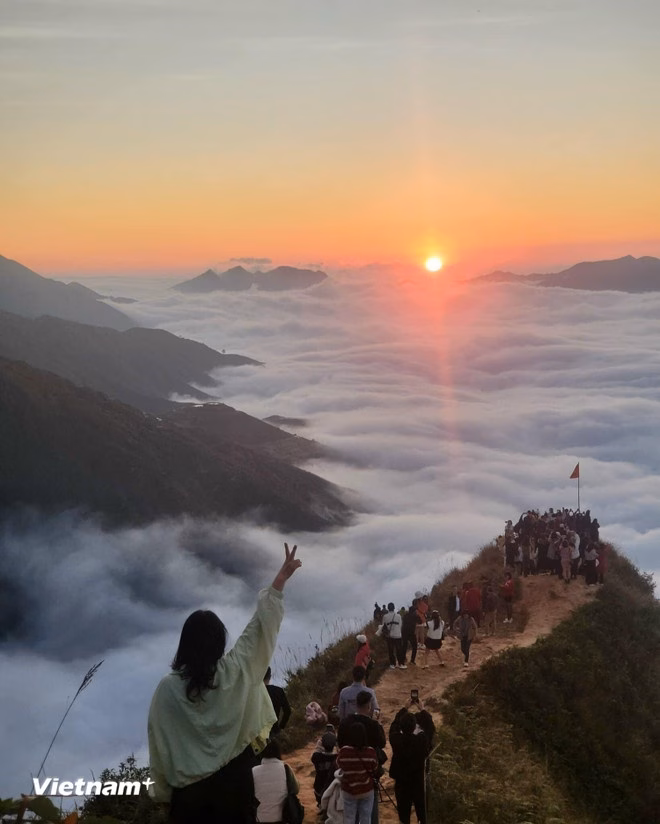 Sống lưng khủng long T&agrave; X&ugrave;a