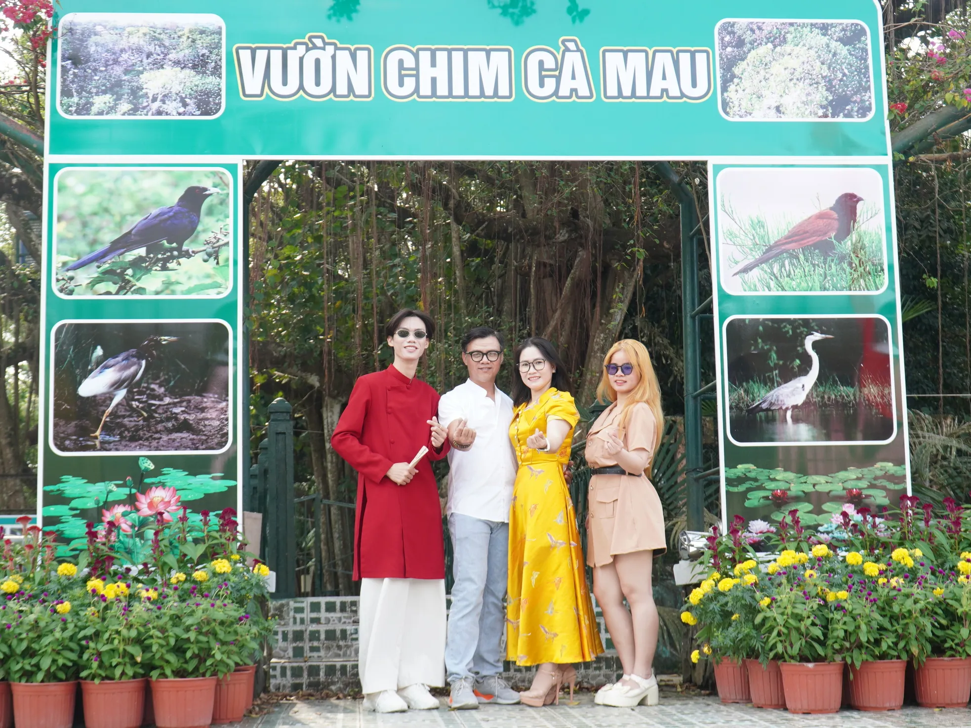 Chim bay về tổ