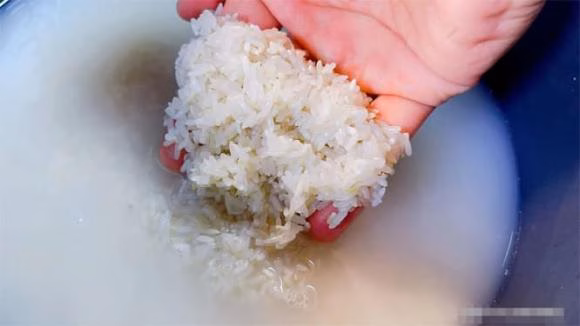 nấu cơm, giấm trắng, dầu dừa
