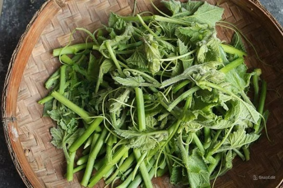 Rau bí1 Rau ngọn bí tươi