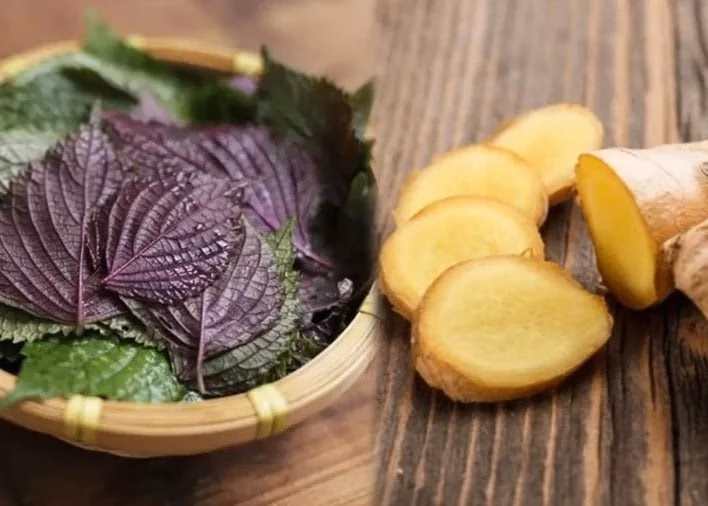 Nước lá tía tô nấu với gừng