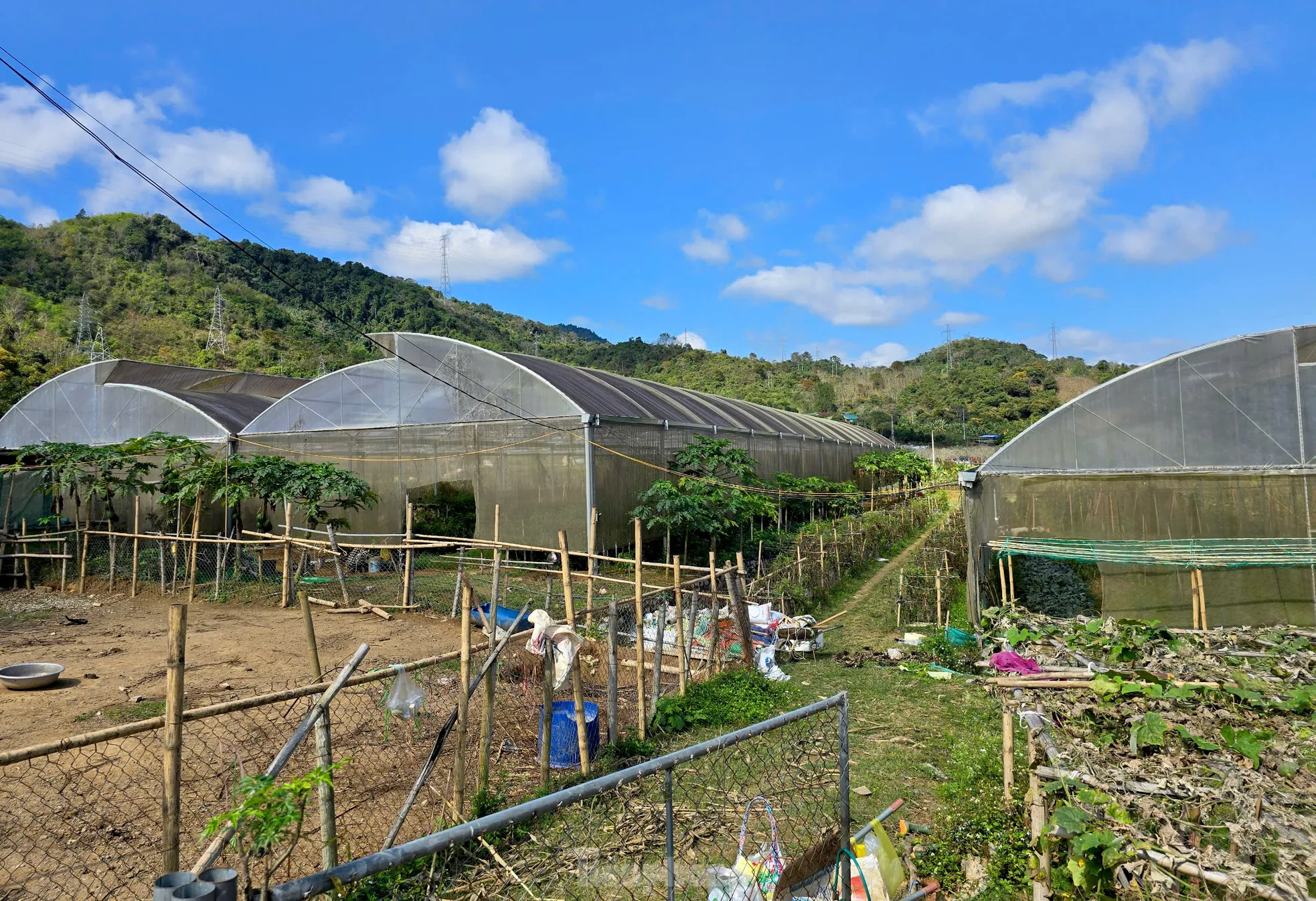 Chị Vi Thị Giang cải tạo nhà lưới