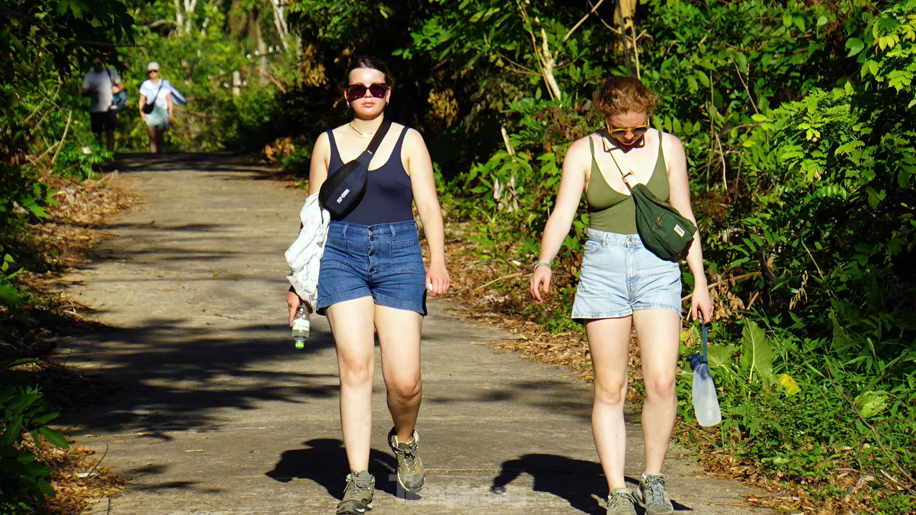 Khách Tây trekking tại Vườn quốc gia Cát Bà