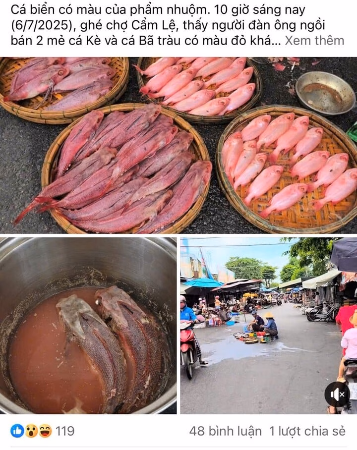 Người dân nghi ngờ cá biển có màu của phẩm nhuộm
