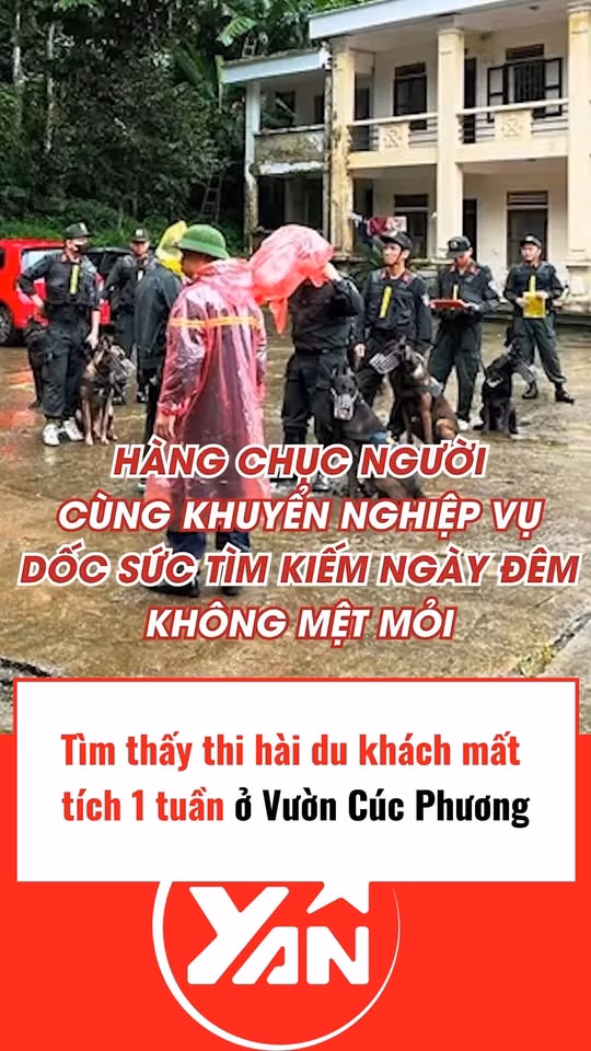 Hồng Phượng phản pháo khi bị đồn ly hôn với Linh Tý