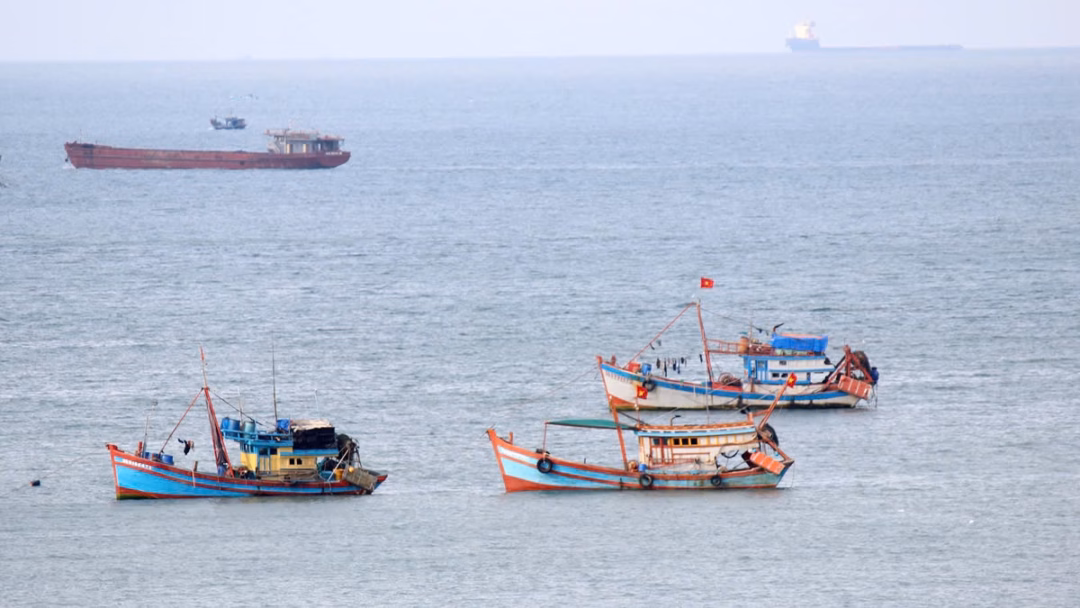 T&agrave;u đ&aacute;nh bắt c&aacute; ở v&ugrave;ng biển TP.HCM