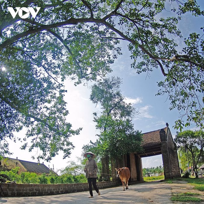 Đường L&acirc;m v&agrave;o ho&agrave;ng h&ocirc;n, tường đ&aacute; ong v&agrave; kh&ocirc;ng gian y&ecirc;n b&igrave;nh