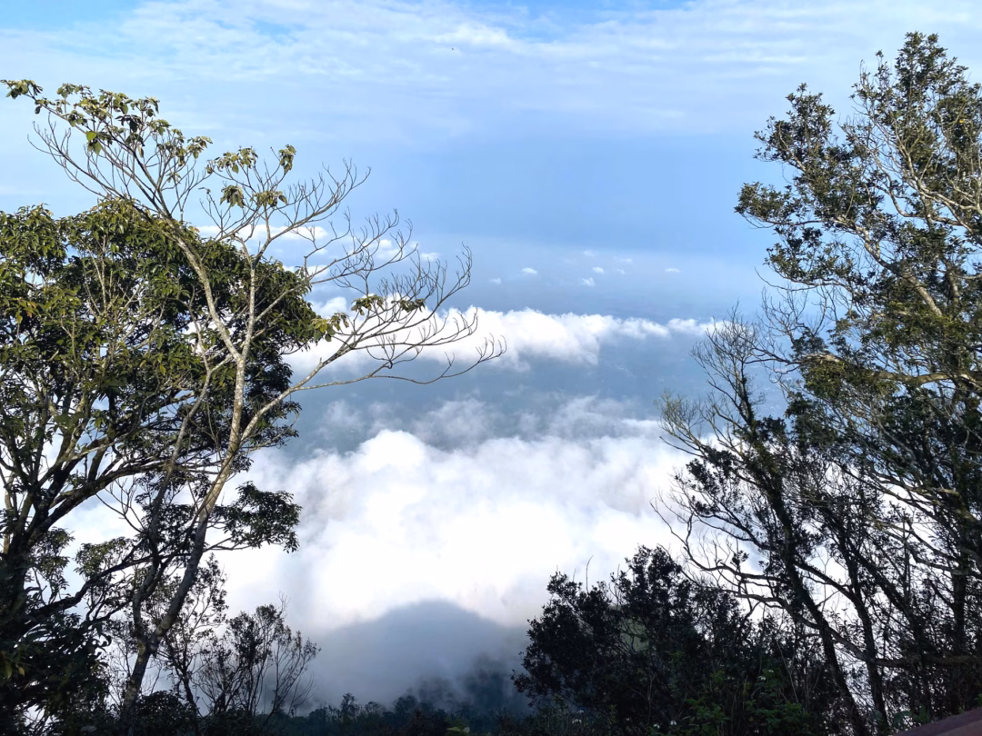 Biển m&acirc;y bồng bềnh tại Ba V&igrave; v&agrave;o buổi trưa