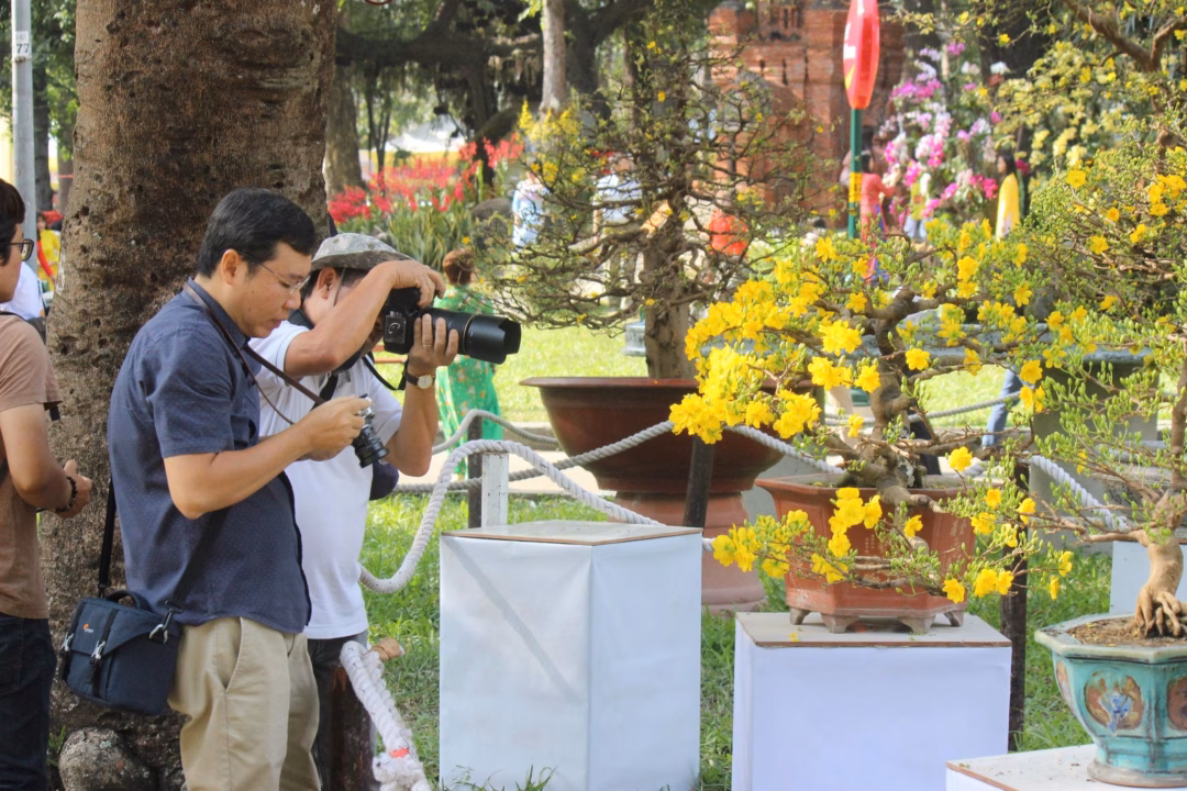 Mai v&agrave;ng trưng b&agrave;y tại chợ hoa xu&acirc;n