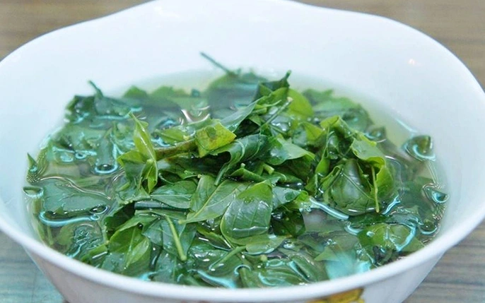 Thu hoạch rau sắng rừng tự nhiên tại vùng núi phía Bắc