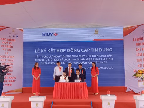 Ký kết hợp đồng tín dụng Tập đoàn An Việt Phát và BIDV ký kết hợp đồng tín dụng