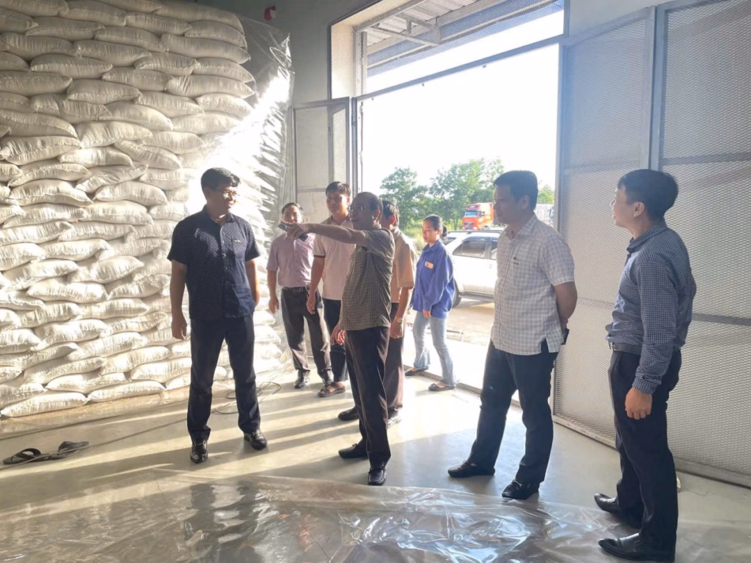 Chi cục Dự trữ Nhà nước khu vực II chuẩn bị sẵn sàng kho tàng để dự kiến mua bổ sung gạo năm 2025 Chi cục Dự trữ Nhà nước khu vực II chuẩn bị sẵn sàng kho tàng để dự kiến mua bổ sung gạo năm 2025