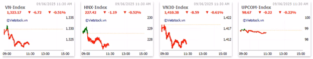 VN-Index giảm điểm Biểu đồ VN-Index