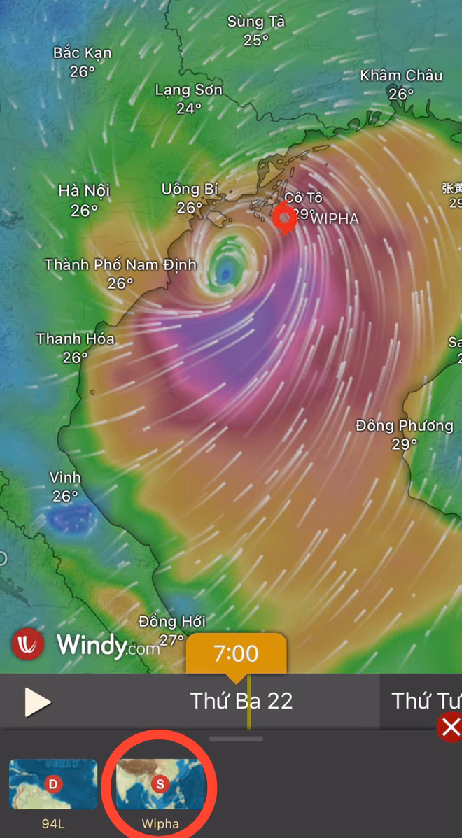 Cách theo dõi bão Wipha trên điện thoại bằng ứng dụng Windy Các bước tiếp theo để theo dõi bão Wipha
