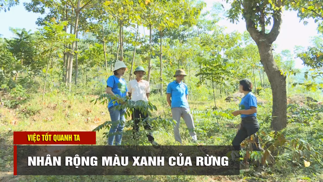 Điện Biên nhận 200 tỷ đồng khắc phục thiên tai từ Chính phủ Nhân rộng màu xanh của rừng