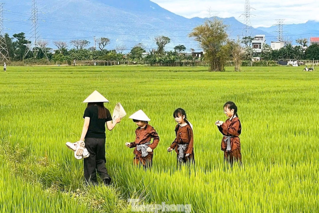 Du lịch ‘nhà quê’ ở Đà Nẵng hút khách nhờ làng cổ trăm tuổi
