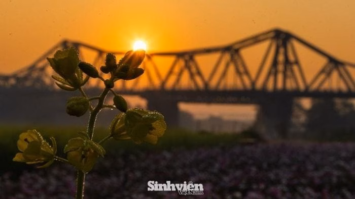 Cảnh phố ngập sương ng&agrave;y mới