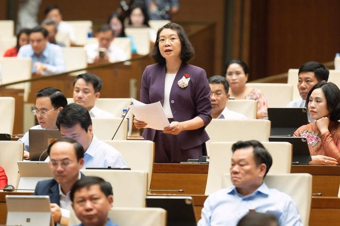 Đại biểu Quốc hội thảo luận về cơ chế giải quyết tranh chấp đầu tư