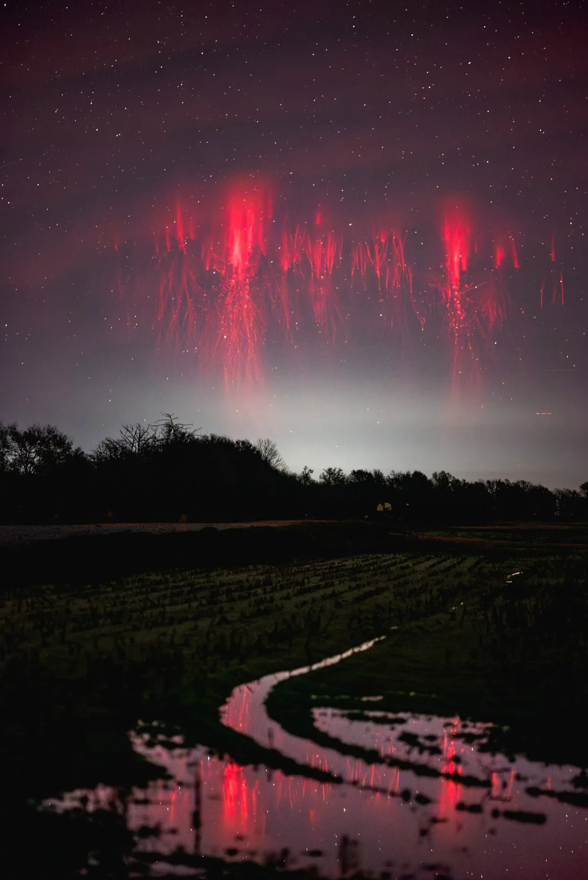 Ảnh: National Geographic