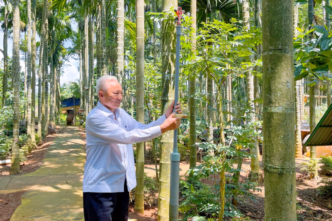 Xã Mỹ Thọ, Đồng Tháp: Phát triển kinh tế – xã hội với lợi thế đặc thù Một ông nông dân ở tỉnh Đắk Lắk mới có vỏn vẹn 4 sào đất, trồng cây gì mà lãi tiền tỷ, cả làng phục lăn?