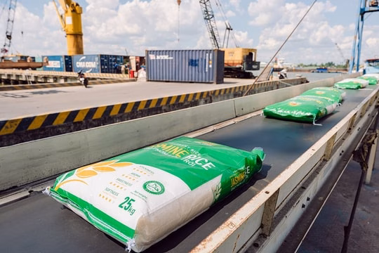 Đồng bằng sông Cửu Long: Ngân hàng “tiếp sức” nâng tầm hạt gạo Việt