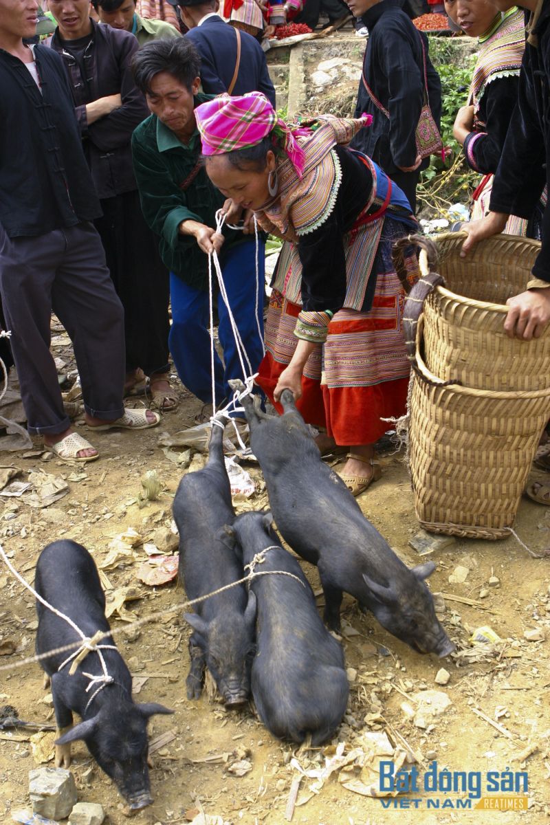 Lên Đồng Văn chơi phiên chợ cuối năm