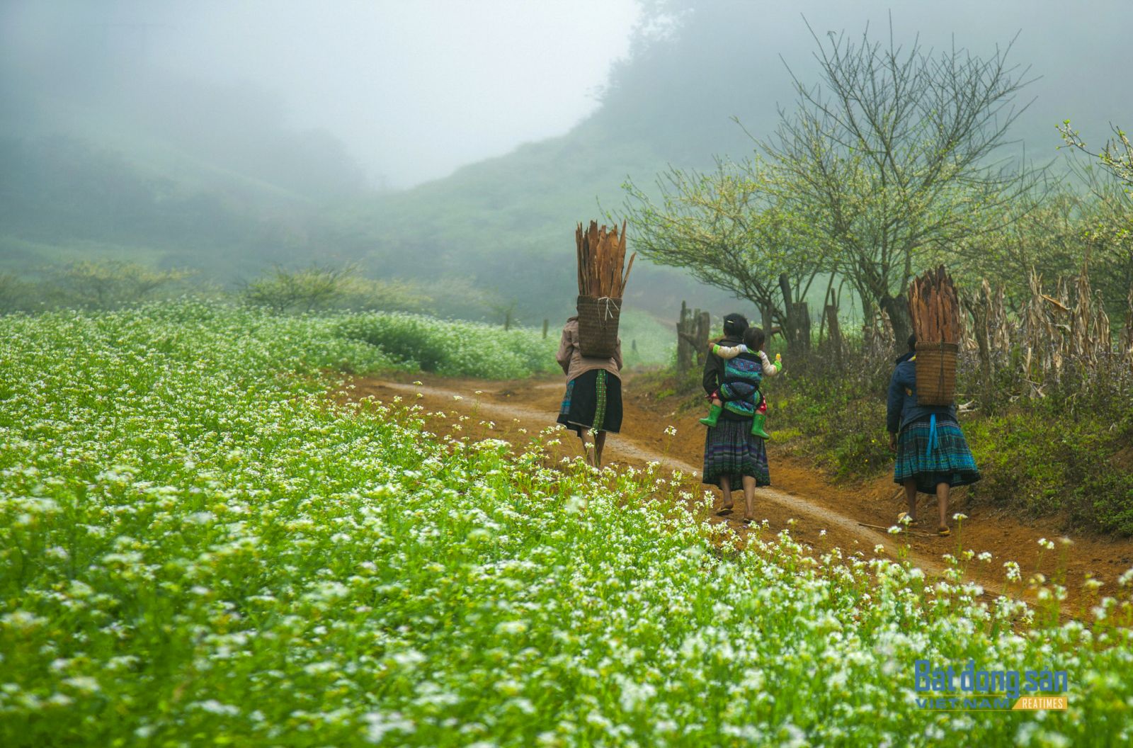 Du xuân nơi “thiên đường“ hoa cải