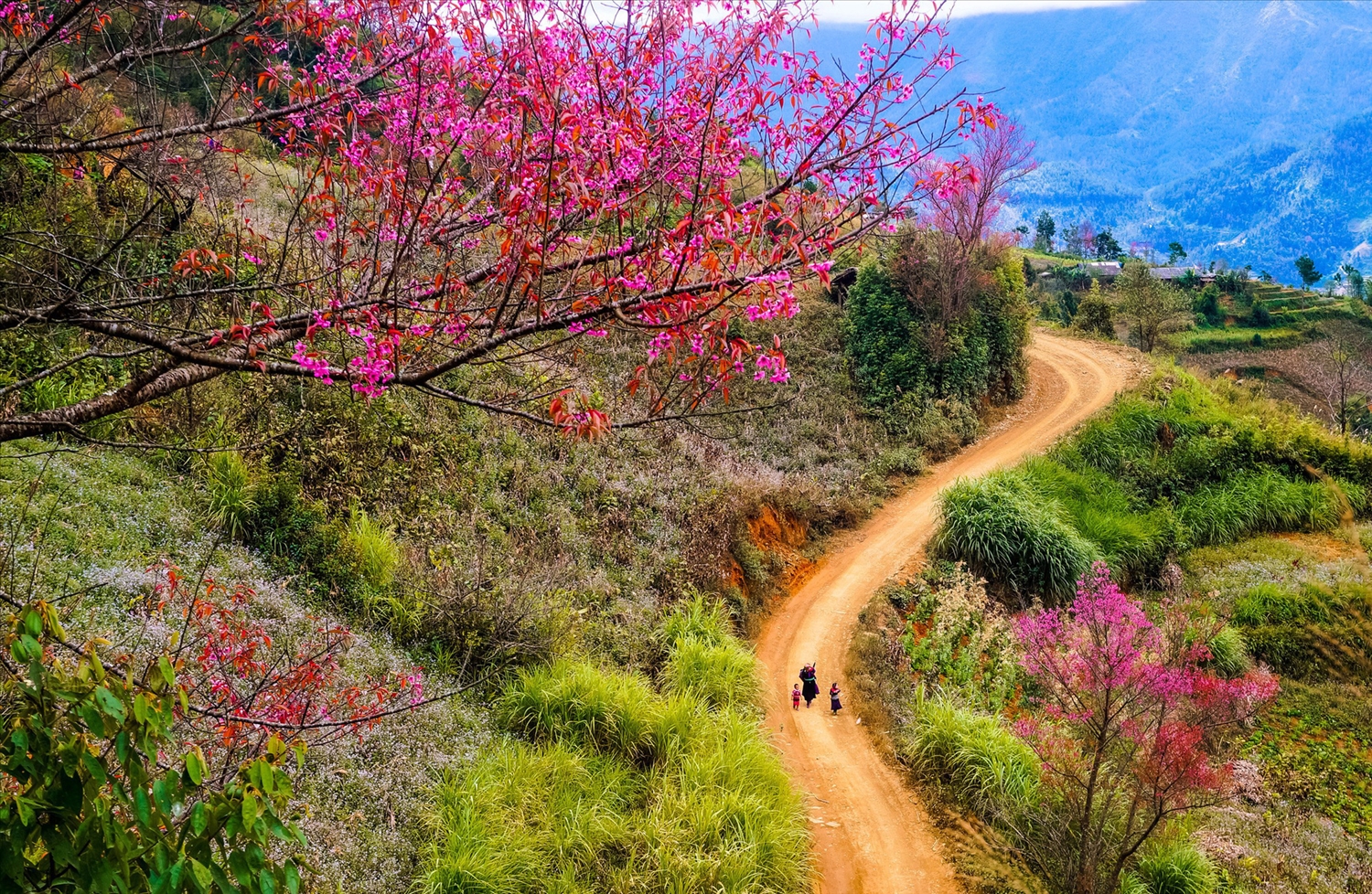 Đường sáng mùa xuân