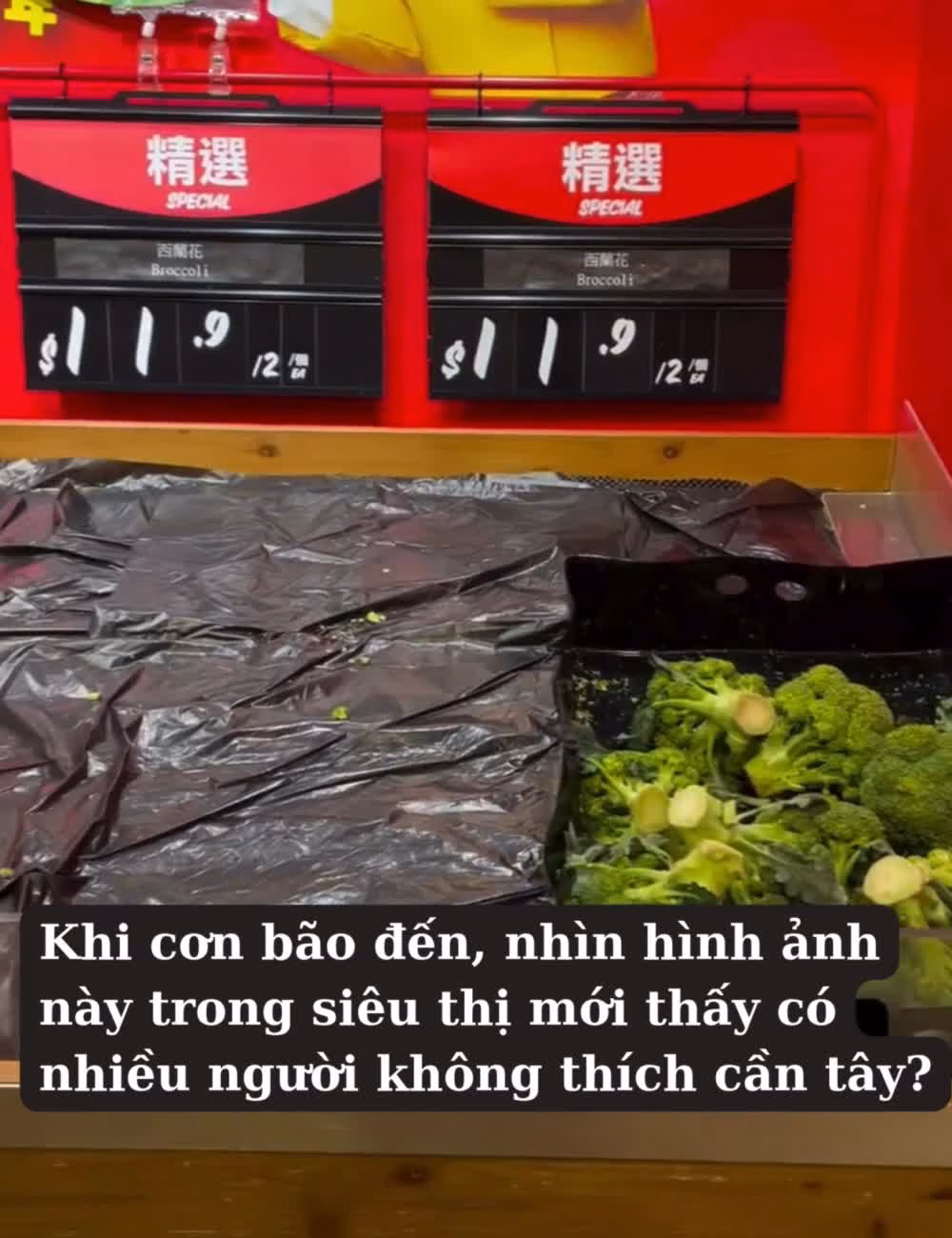 Tại sao không ai mua cần tây?