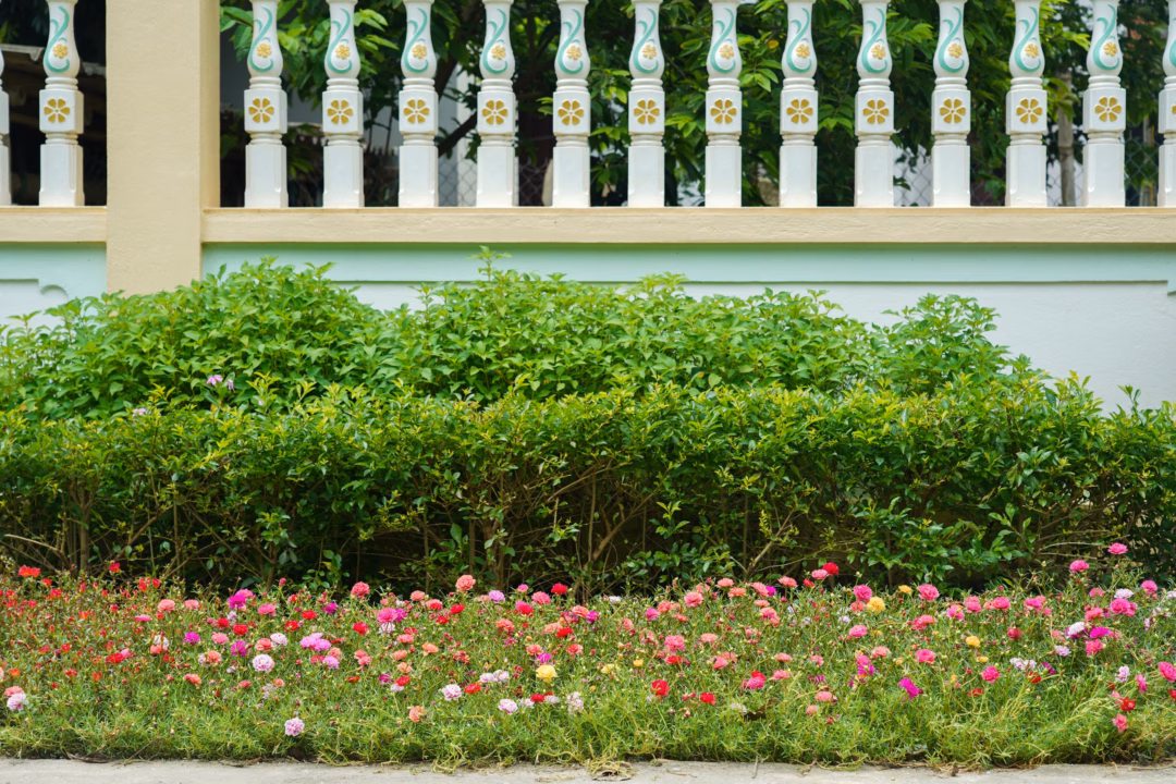 Thôn quê như resort giữa núi rừng Mỹ Quan đổi thay nhờ mô hình “Nhà sạch - Vườn đẹp - Hàng rào xanh”- Ảnh 7.