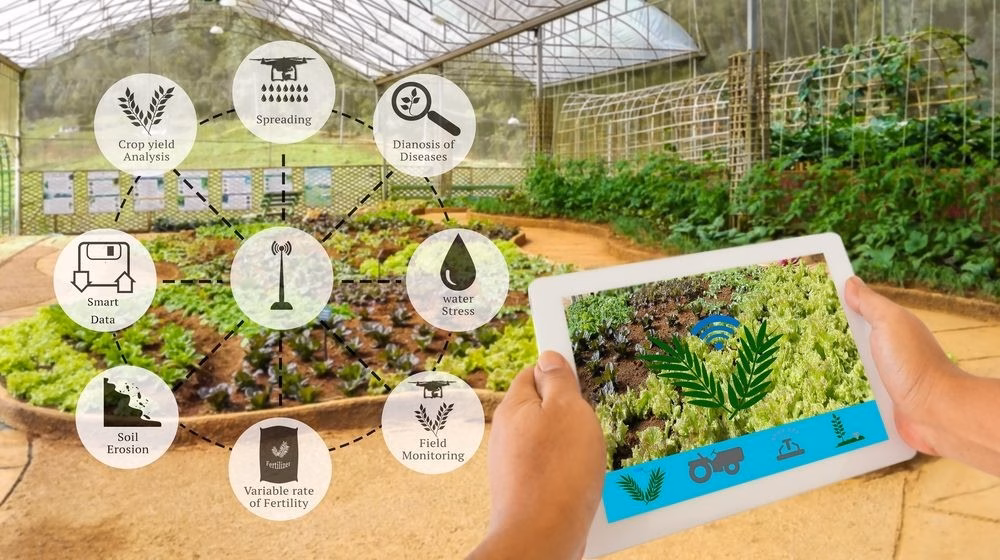 Hà Tĩnh hỗ trợ 1,8 tỉ đồng phát triển công nghiệp nông thôn năm 2025 Ứng dụng AI để phát triển trong cơ sở công nghiệp nông thôn