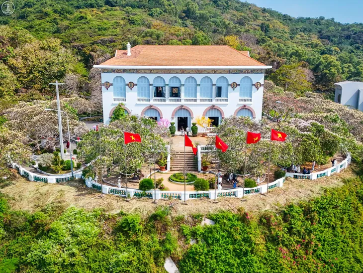 Bạch Dinh