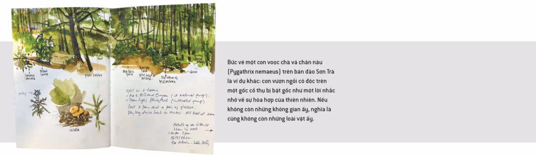 Họa sĩ Việt Nam dùng nghệ thuật bảo vệ loài hoang dã Đào Văn Hoàng: Vào trong hoang dã, vẽ để kể về sự sống và mất mát - Ảnh 3.