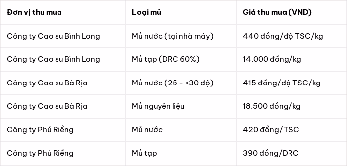 Bảng gi&aacute; thu mua mủ cao su tại c&aacute;c c&ocirc;ng ty lớn
