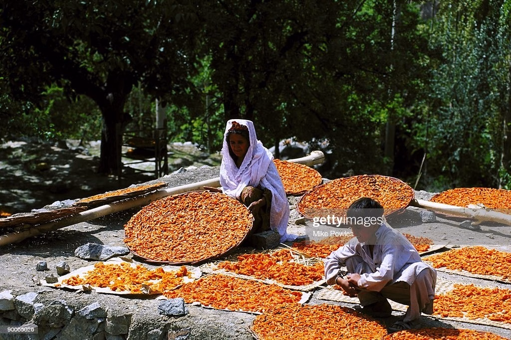 Người Hunza tự cung tự cấp lương thực thực phẩm Người Hunza tự cung tự cấp lương thực thực phẩm